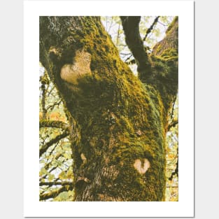 Moss Heart Posters and Art